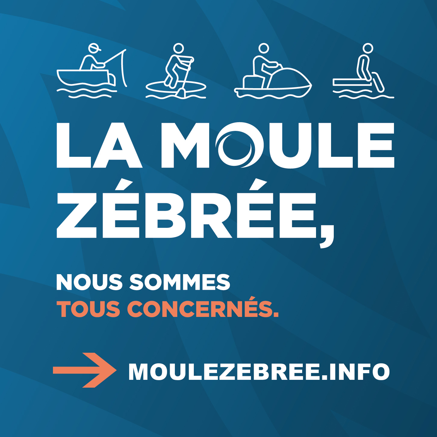 Moule zébrée Ville de TémiscouatasurleLac